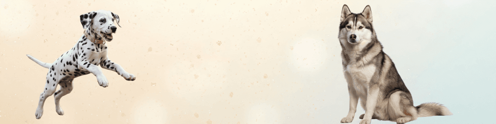 Banner background